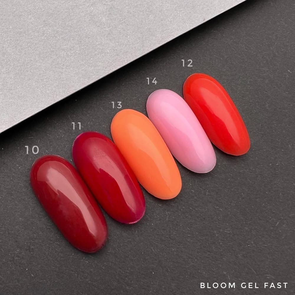 Bloom, Гель FAST холодный №10 15 мл #