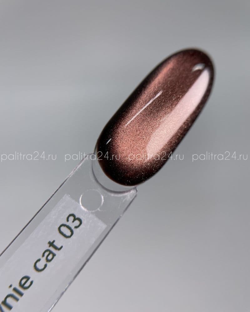 iPerfect, Brownie cat color gel 03 - гель-лак магнитный для ногтей, 10гр стеклянный флакон с кистью