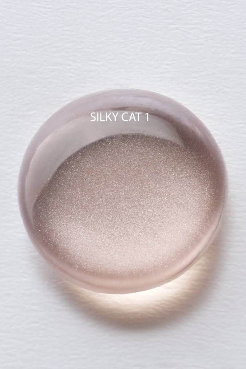 ALBI, Гель-лак SILK CAT №1, 10мл