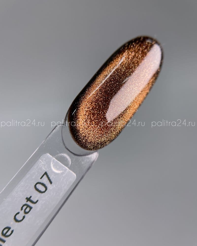iPerfect, Brownie cat color gel 07 - гель-лак магнитный для ногтей, 10гр стеклянный флакон с кистью