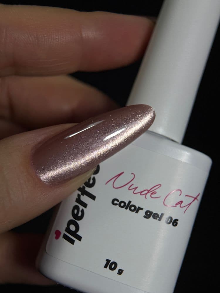 iPerfect, Nude cat color gel 06 - гель-лак магнитный для ногтей 10гр