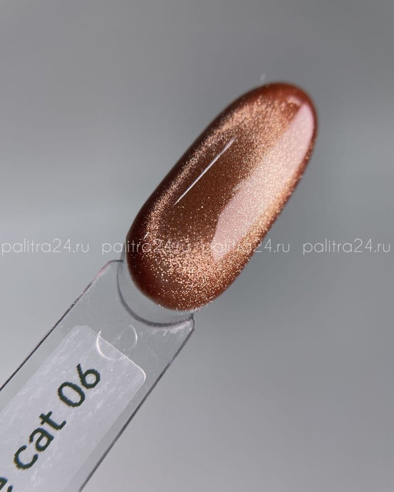 iPerfect, Brownie cat color gel 06 - гель-лак магнитный для ногтей, 10гр стеклянный флакон с кистью