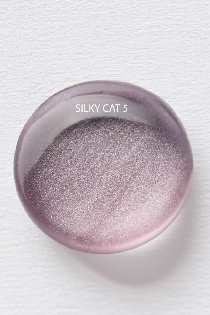 ALBI, Гель-лак SILK CAT №5, 10мл
