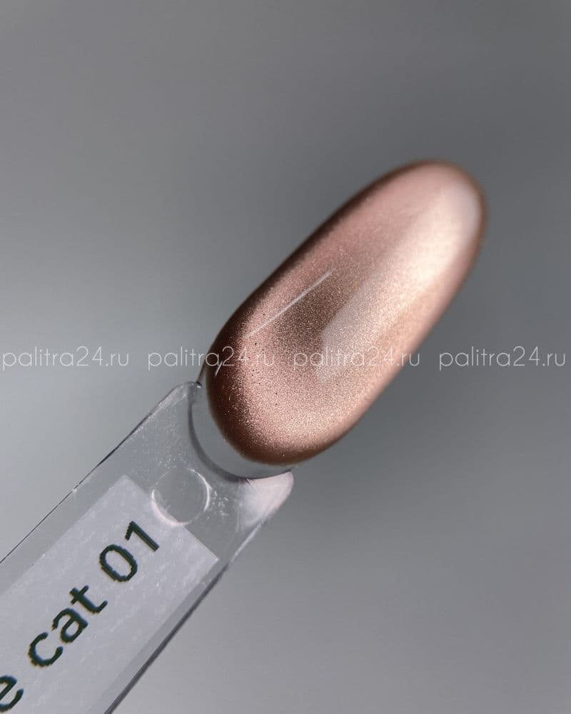 iPerfect, Brownie cat color gel 01 - гель-лак магнитный для ногтей, 10гр стеклянный флакон с кистью