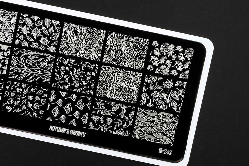 Go! Stamp, Пластина для стемпинга 243 Autumn*s Bounty