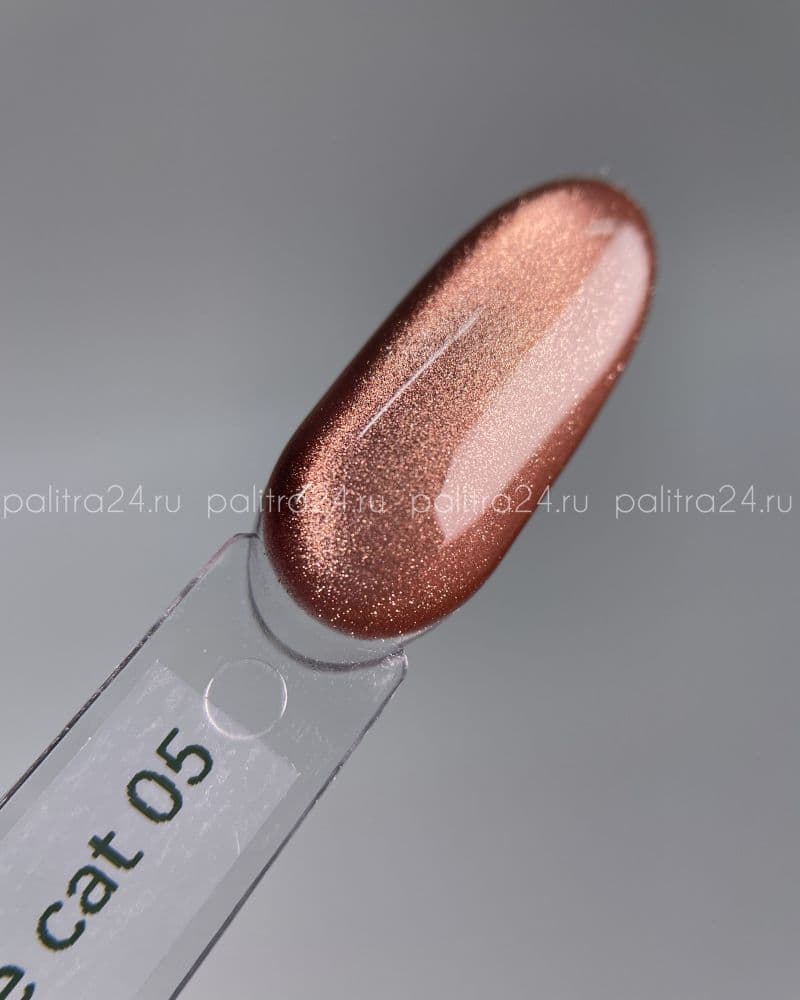 iPerfect, Brownie cat color gel 05 - гель-лак магнитный для ногтей, 10гр стеклянный флакон с кистью