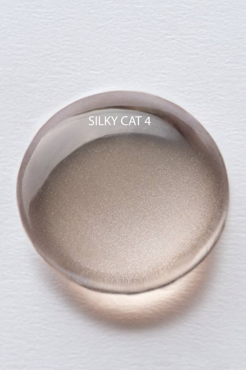 ALBI, Гель-лак SILK CAT №4, 10мл