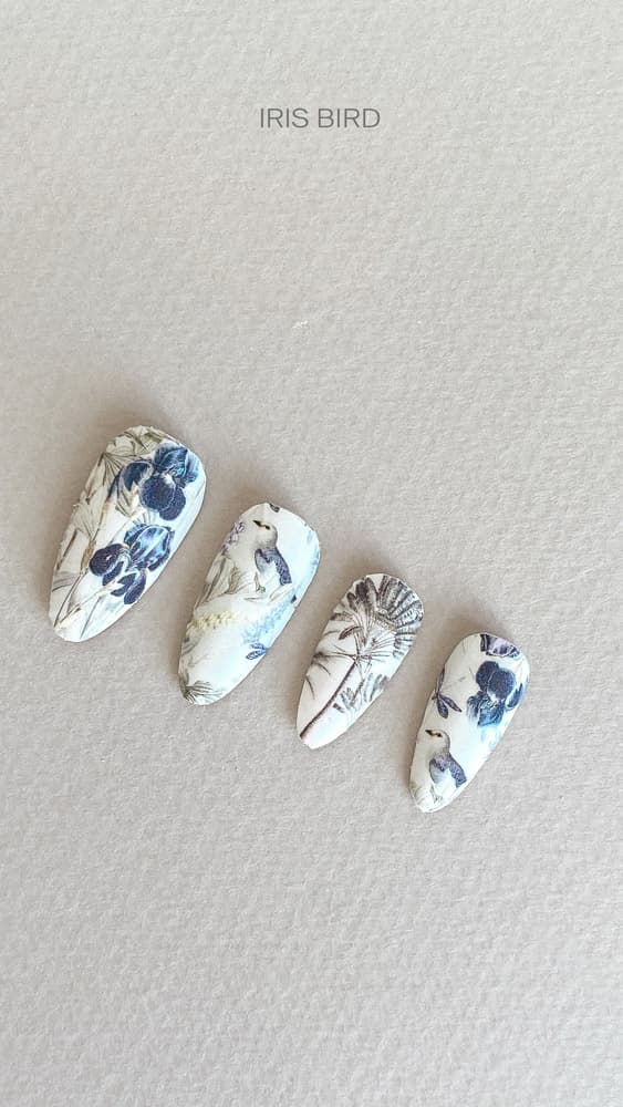 IBDI,  Пленки для маникюра IBDI NAILS 05 IRIS BIRD