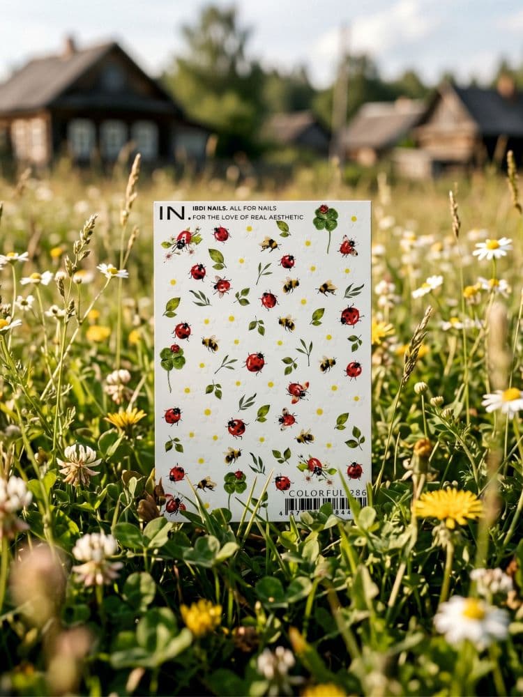 IBDI, Слайдер дизайн COLORFUL №286