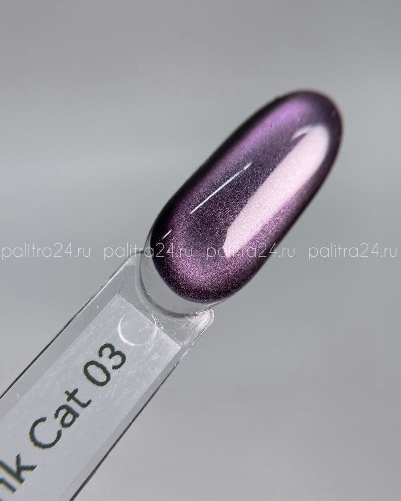 iPerfect, Ink cat color gel 03 - гель-лак магнитный для ногтей, 10гр стеклянный флакон с кистью