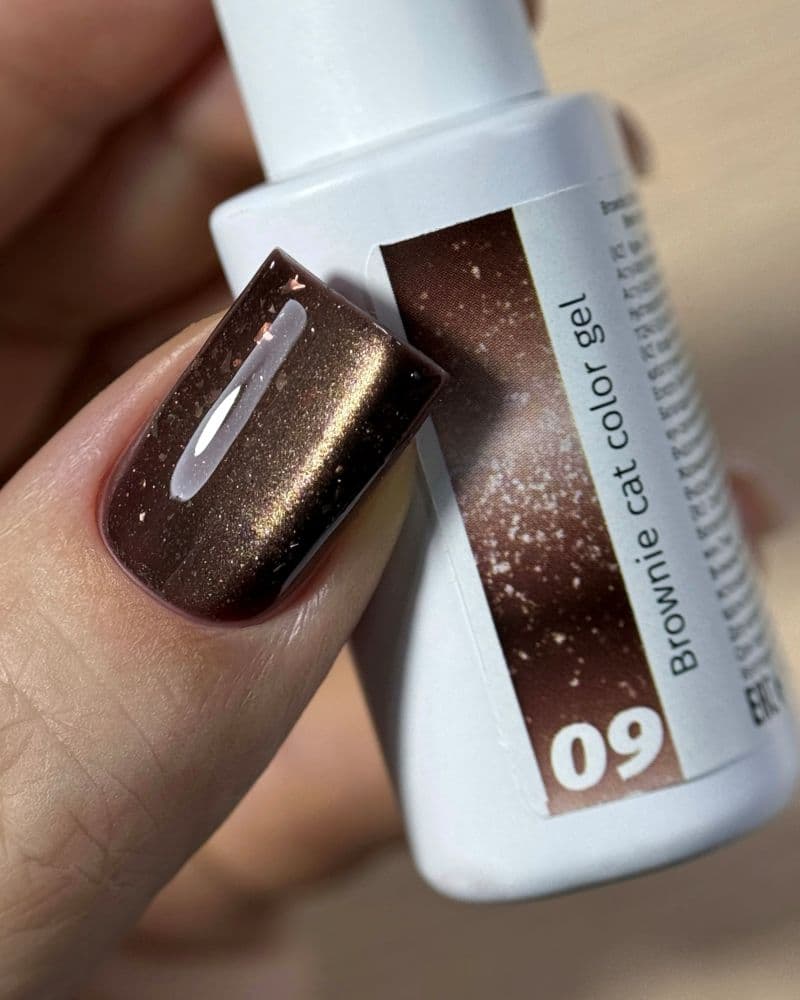 iPerfect, Brownie cat color gel 09 - гель-лак магнитный для ногтей, 10гр стеклянный флакон с кистью