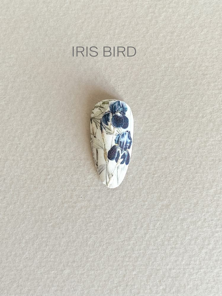 IBDI,  Пленки для маникюра IBDI NAILS 05 IRIS BIRD