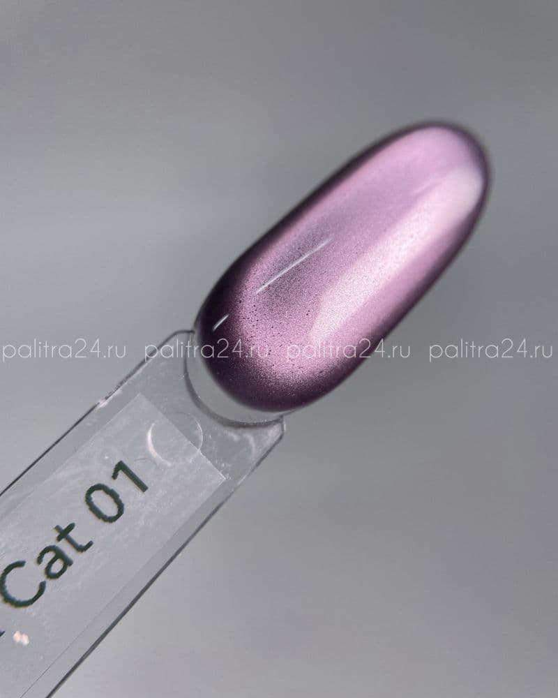 iPerfect, Ink cat color gel 01 - гель-лак магнитный для ногтей, 10гр стеклянный флакон с кистью