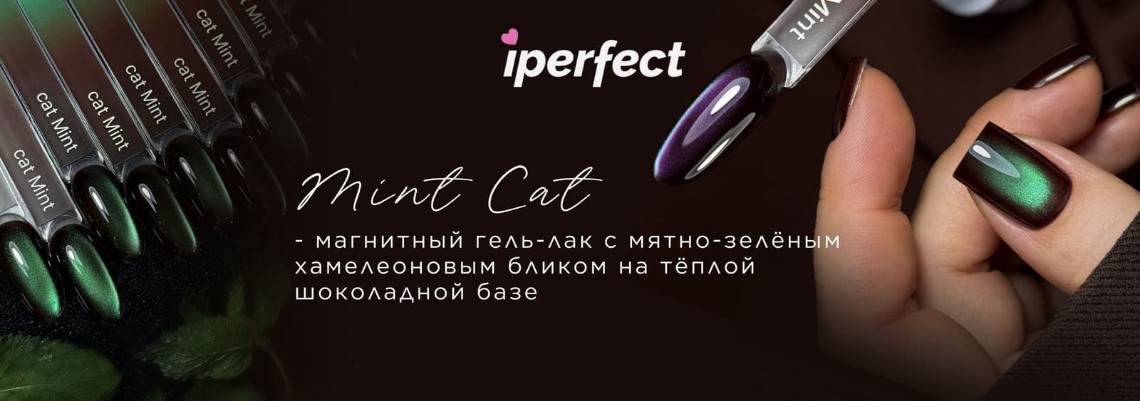 Mint cat